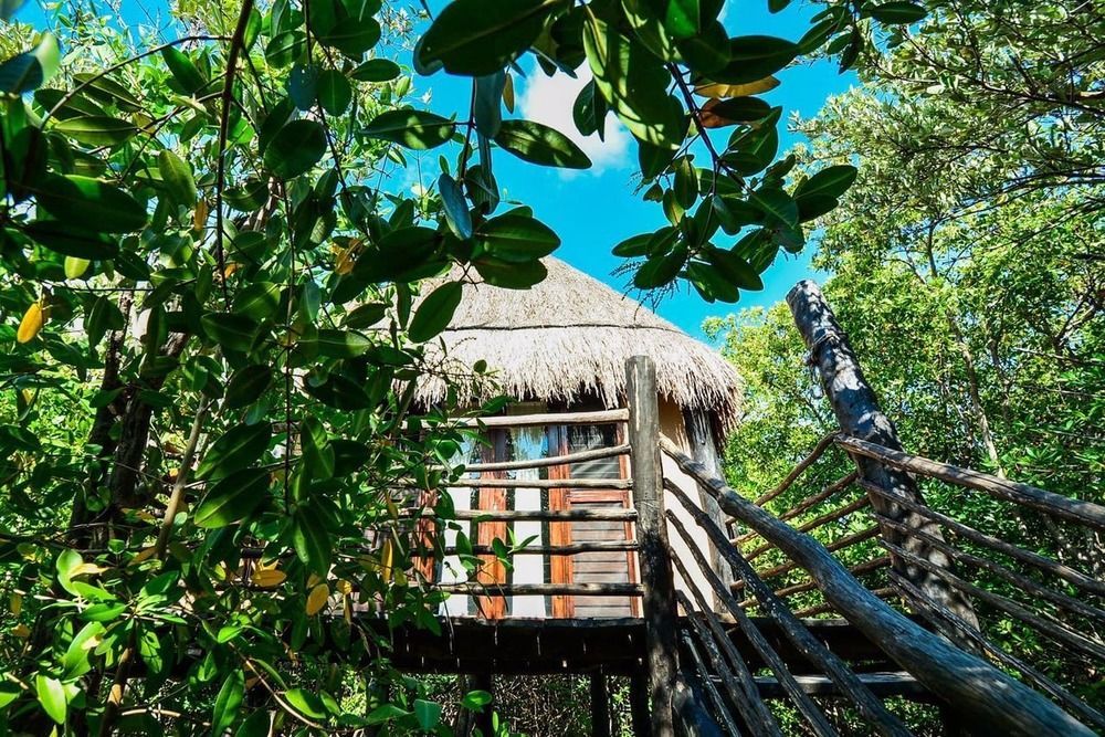 Manglex Eco Hotel 툴룸 외부 사진