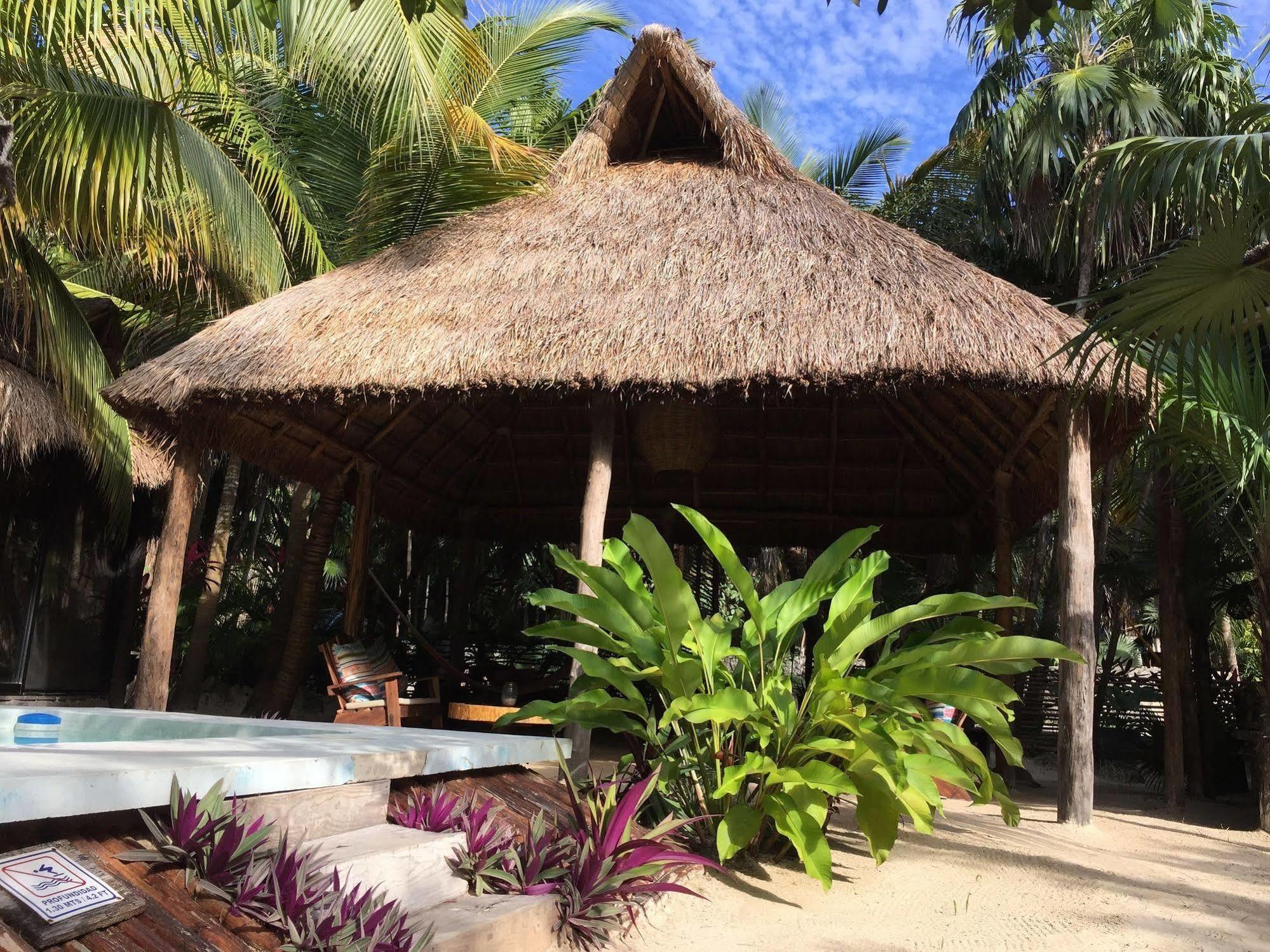 Manglex Eco Hotel 툴룸 외부 사진